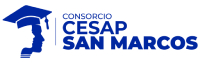CONSORCIO CESAP 2025-04